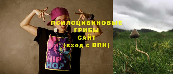 apvp Заволжск