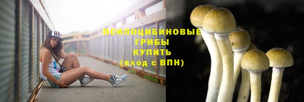 apvp Заволжск