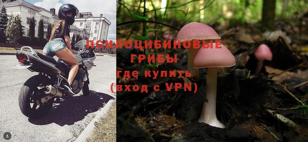 apvp Заволжск