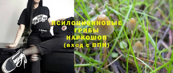 apvp Заволжск