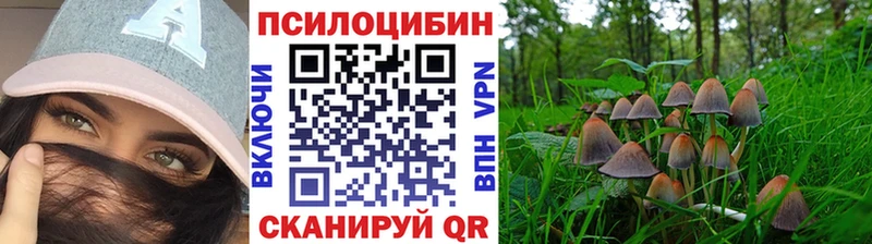 Галлюциногенные грибы Magic Shrooms  Купить  Кольчугино 